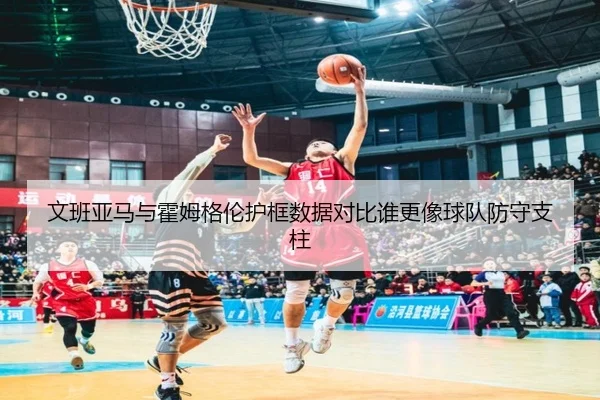 文班亚马与霍姆格伦护框数据对比谁更像球队防守支柱